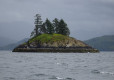 DSC01303-Medium
