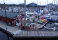 DSC01227-Medium