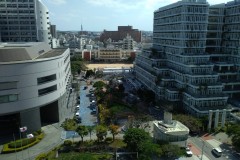 IMG_20200227_142414-Medium