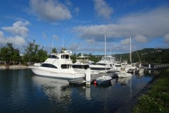 DSC08027-Medium