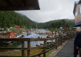 DSC00853-Medium