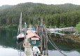 DSC00908-Medium