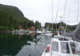 DSC00913-Medium