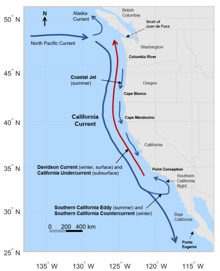 600px-Diagram_of_California_Current_System-Medium