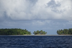 DSC07498