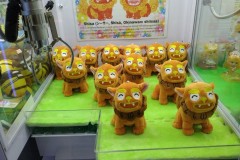 IMG_20200223_182447-Medium