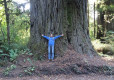 DSC02376-Medium