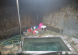 DSC00952-Medium