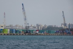 DSC08256-Medium