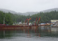 DSC01426-Medium