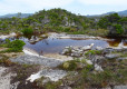 DSC01503-Medium