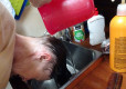 DSC01584-Medium
