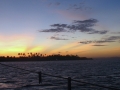 IMG_8163 (2)