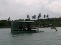 IMG_8195 (2)
