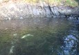 DSC00115-Medium