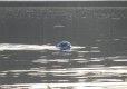 DSC00122-Medium