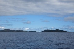 DSC06815-Medium