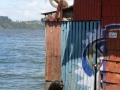 DSCN0171