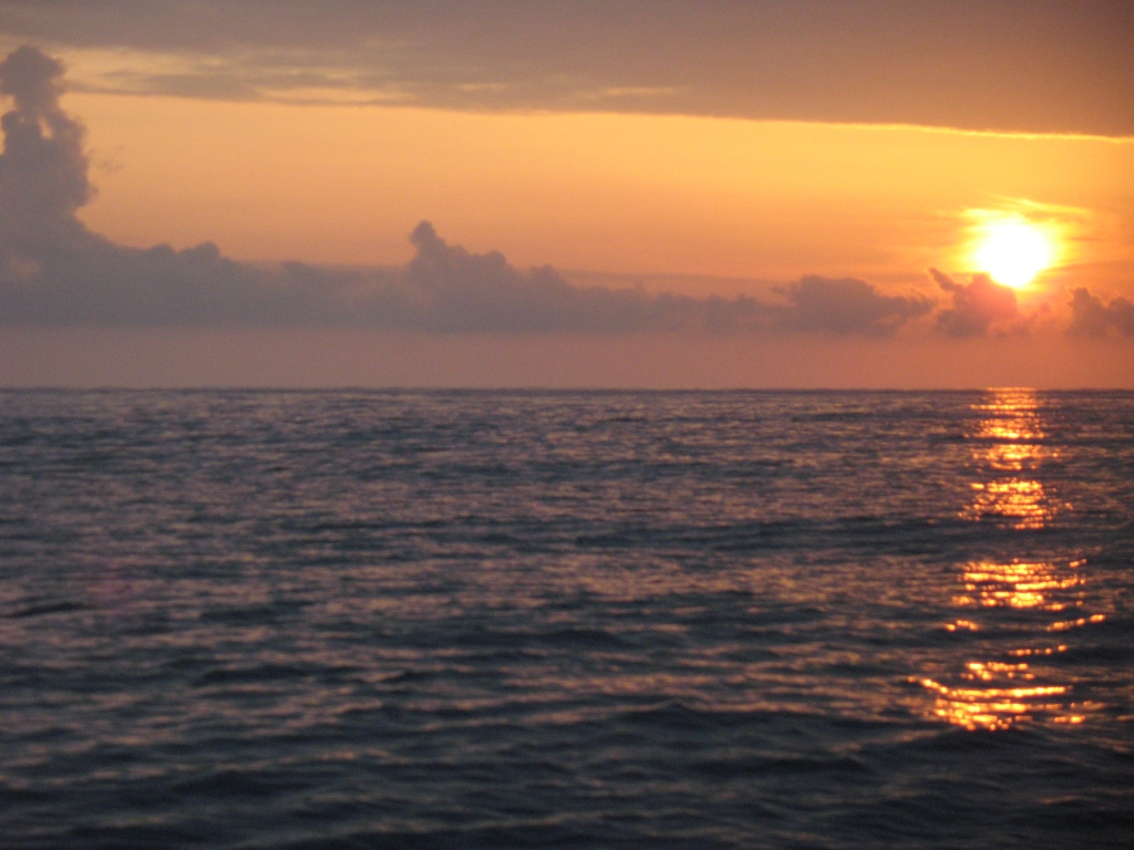 Wal mit Fontäne im Sonnenuntergang