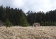 DSC00625-Medium
