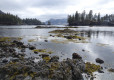 DSC00647-Medium