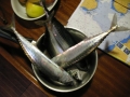 Jeden Tag Fisch
