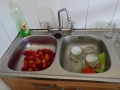 DSC05048
