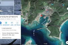 Screenshot_20200327-115128_Maps
