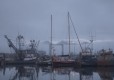 DSC09774-Medium