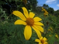 IMG_8816 (1280x960)