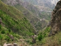 IMG_6135 (960x1280)