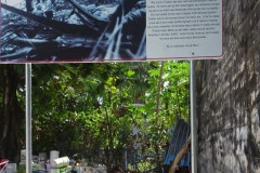 DSC07135-Medium