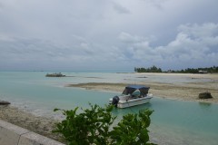 DSC07005-Medium