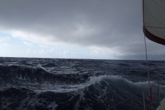 DSC08158-Medium