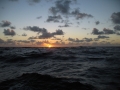 IMG_7929 (1280x954)