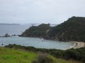 DSC05345