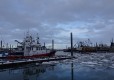 DSC00473-Medium