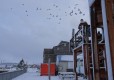 DSC00474-Medium