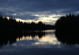 DSC01236-Medium
