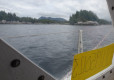 DSC01315-Medium